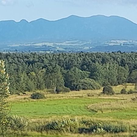 Agroturystyka Pokoje u Zosi Odrowaz Zewnętrze zdjęcie